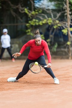 Bild 500 - BL DTV Hannover - BW Dresden Blasewitz : Ergebnis: 2:7